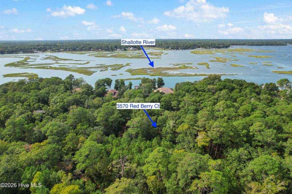 Photo of 3570 Red Berry Court SW, Supply, NC 28462 (MLS # 100606078)