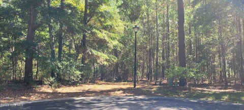 Photo of 3570 Red Berry Court SW, Supply, NC 28462 (MLS # 100606078)