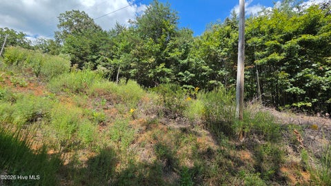 Vacant Land For Sale - LOT 9 Wolf Ridge Lane<br/> Cherokee County, Murphy, NC 28906