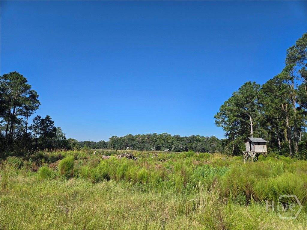 Photo of 0 River Road, Midway, GA 31320 (MLS # SA356057)