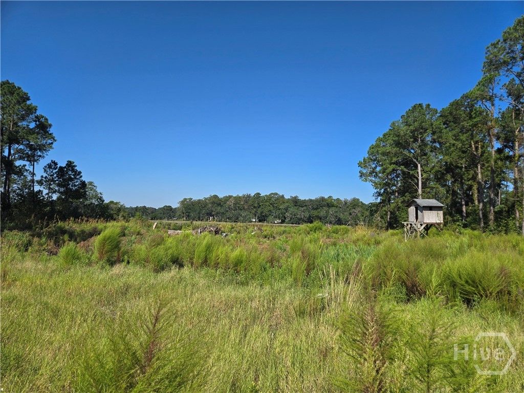Photo of 0 River Road, Midway, GA 31320 (MLS # SA356057)