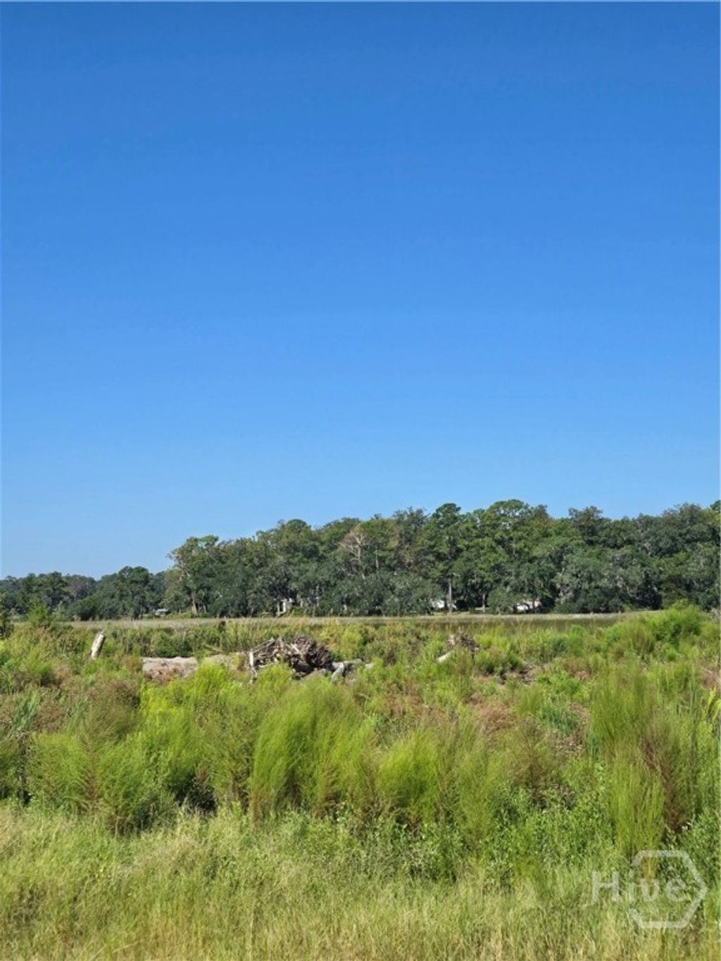 Photo of 0 River Road, Midway, GA 31320 (MLS # SA356057)