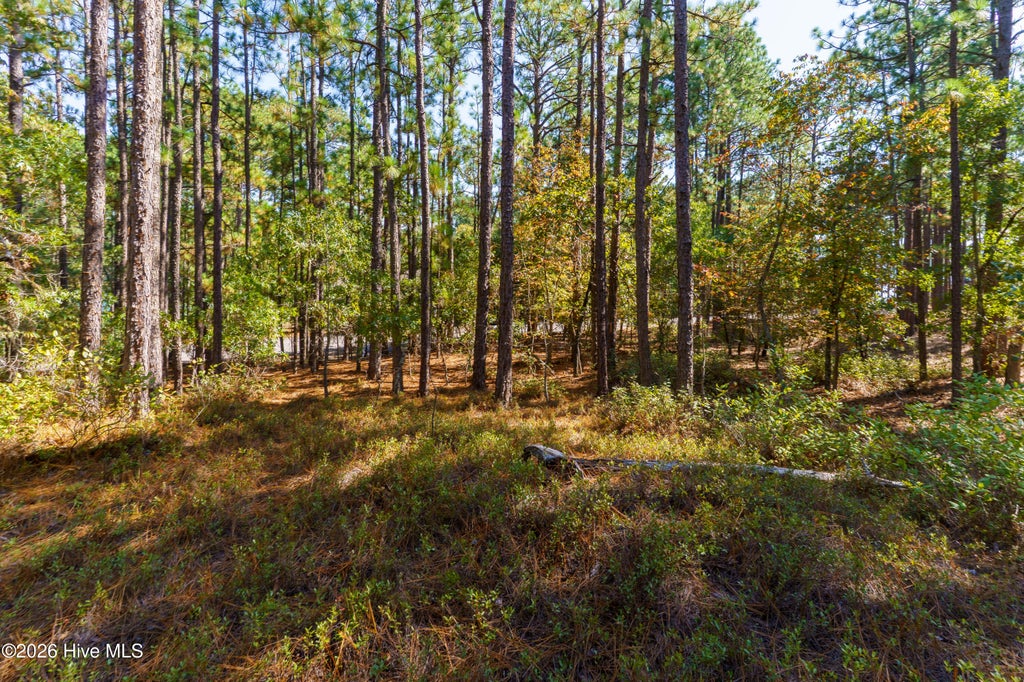 Photo of 134 Vanore Road, West End, NC 27376 (MLS # 100611446)