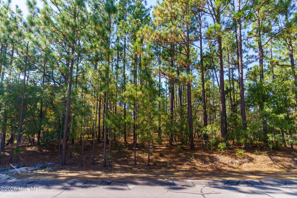 Photo of 134 Vanore Road, West End, NC 27376 (MLS # 100611446)