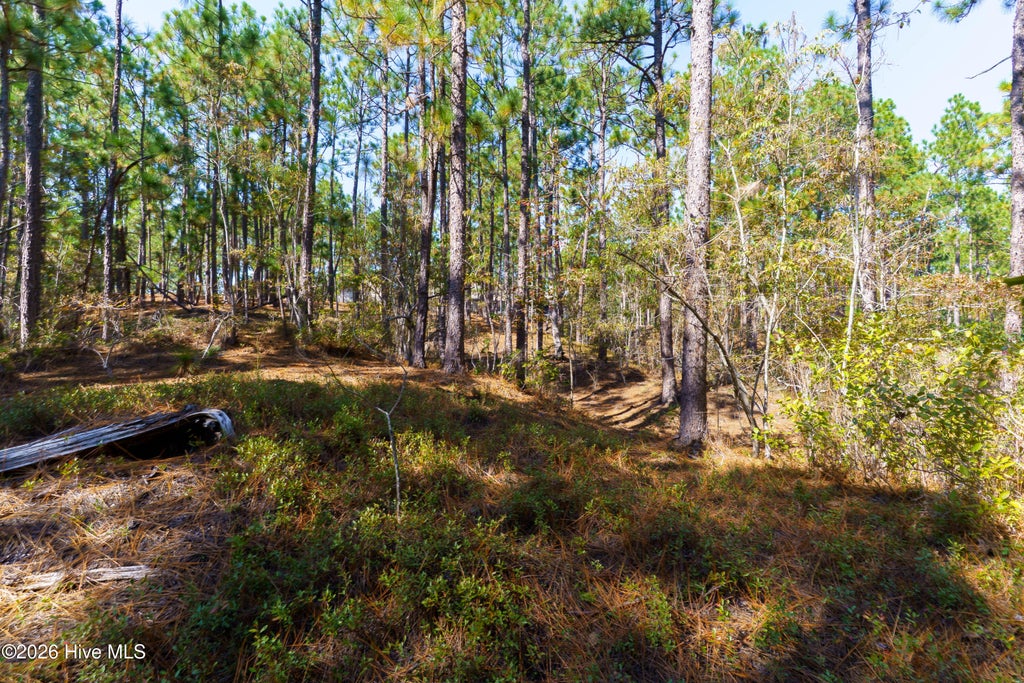 Photo of 134 Vanore Road, West End, NC 27376 (MLS # 100611446)