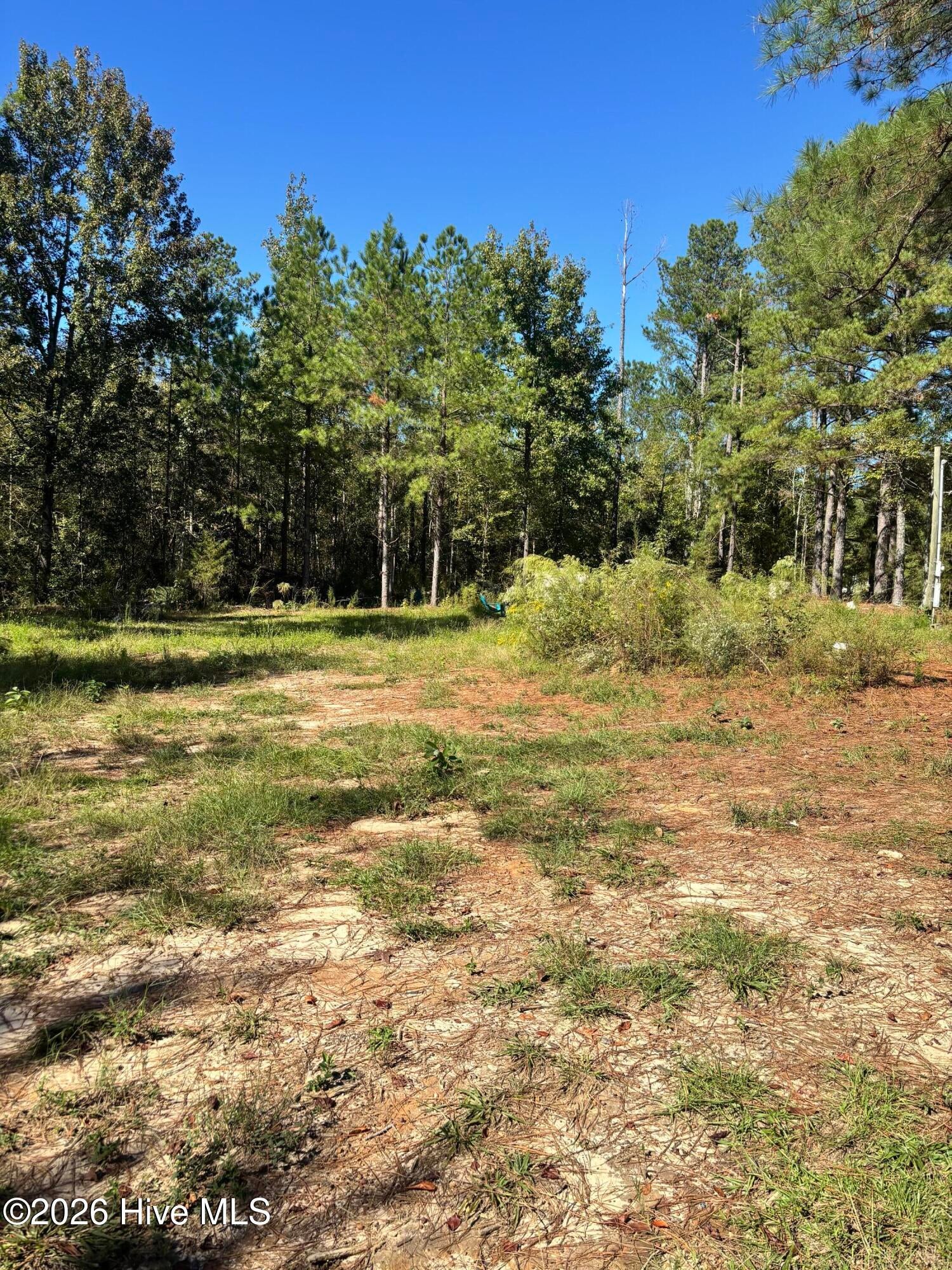 3245 10 Ga Highway 88 Street
