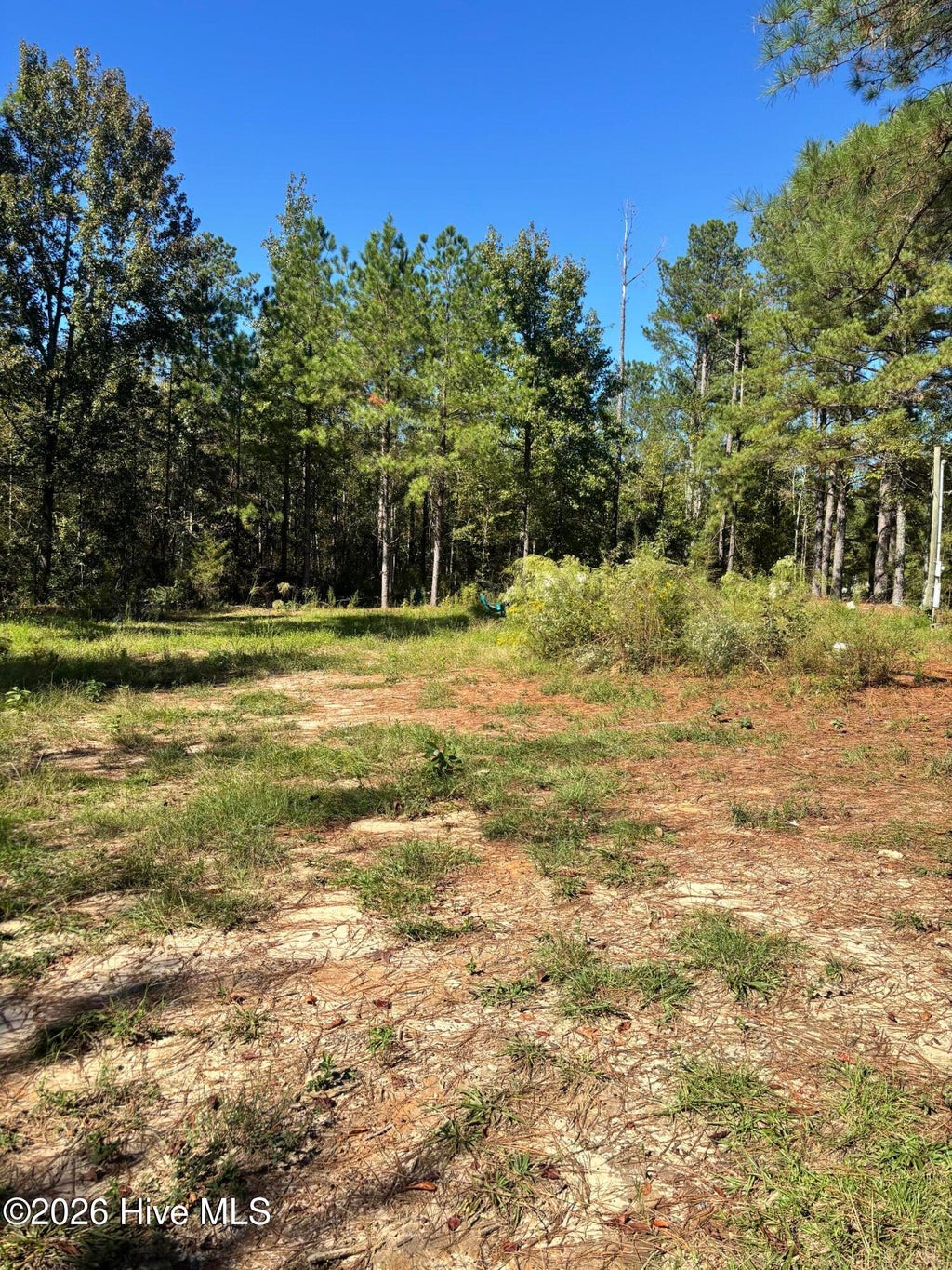 Photo of 3245 Ga Highway 88 Street, Blythe, GA 30805 (MLS # 100610905)