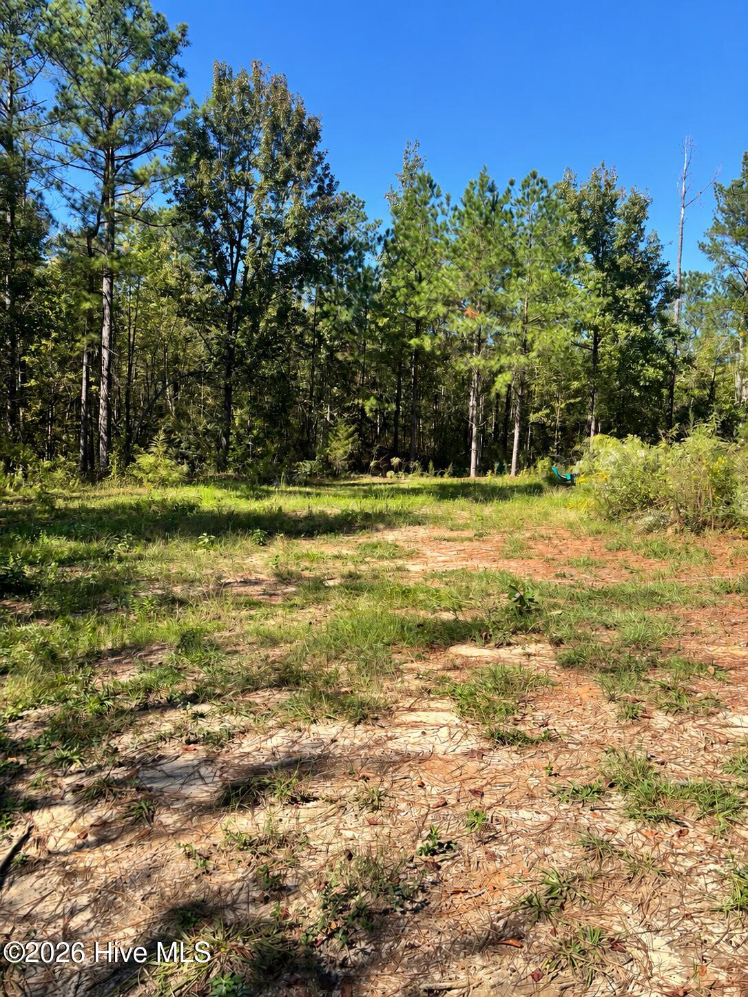 3245 10 Ga Highway 88 Street