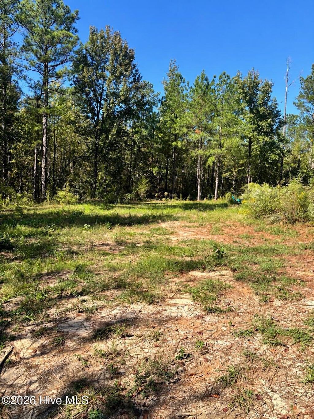 Photo of 3245 Ga Highway 88 Street, Blythe, GA 30805 (MLS # 100610905)