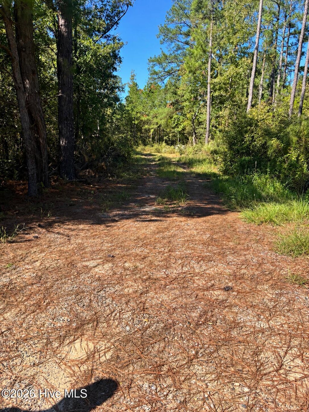Photo of 3245 Ga Highway 88 Street, Blythe, GA 30805 (MLS # 100610905)