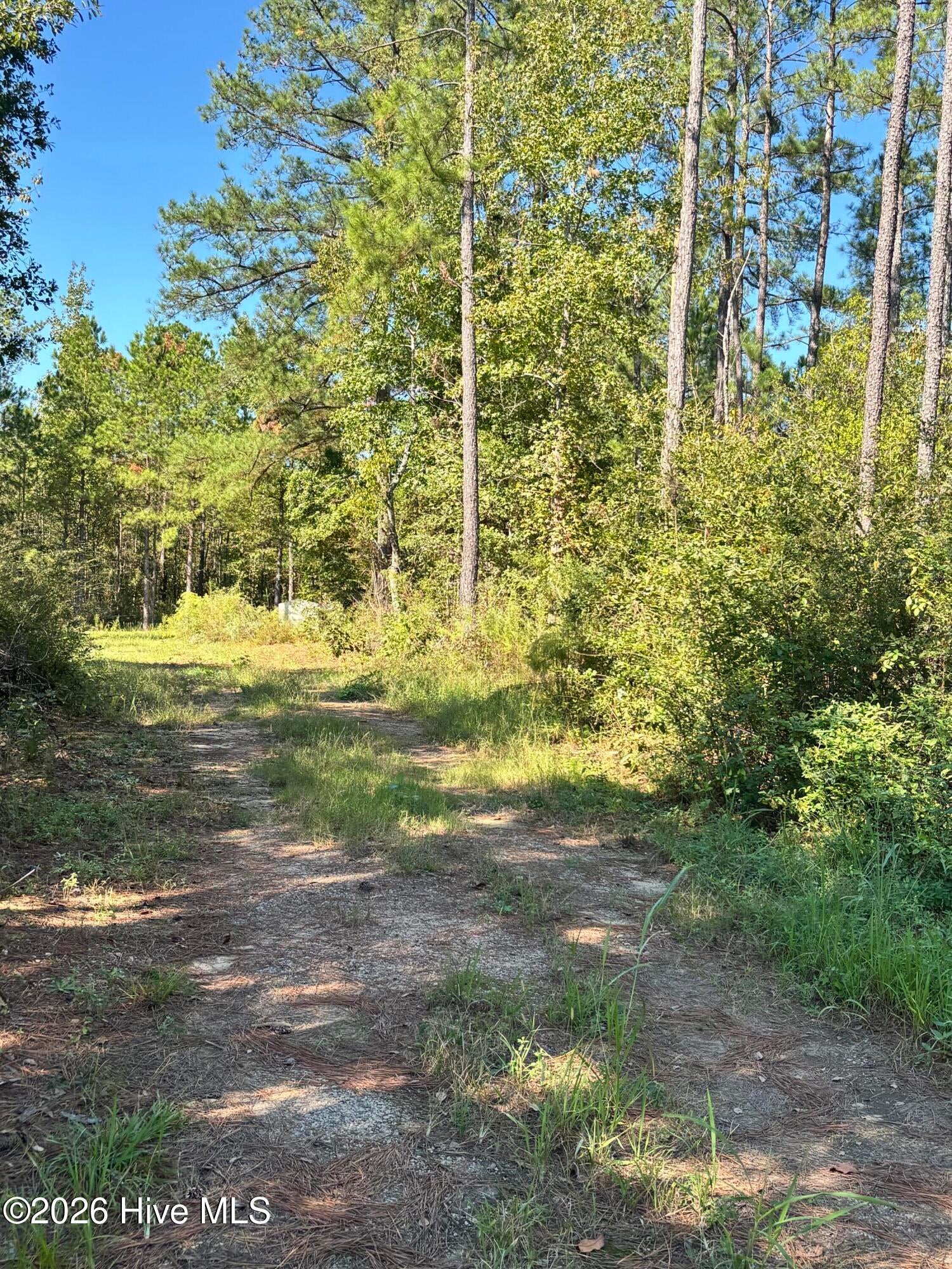 3245 10 Ga Highway 88 Street