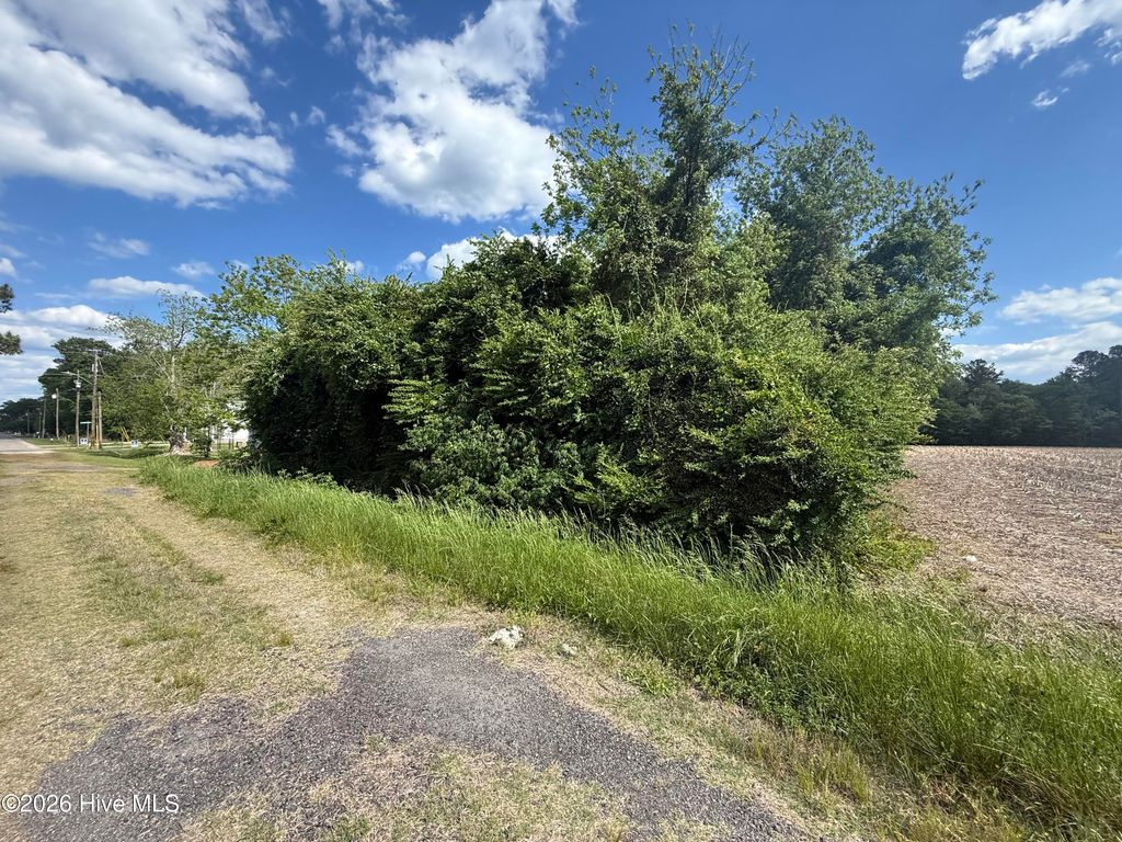 Photo of 4 W Hayes Street, Burgaw, NC (MLS # 100572900)
