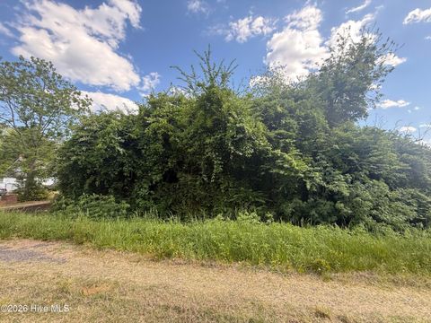 Tiny photo for 4 W Hayes Street, Burgaw, NC 28425 (MLS # 100572900)