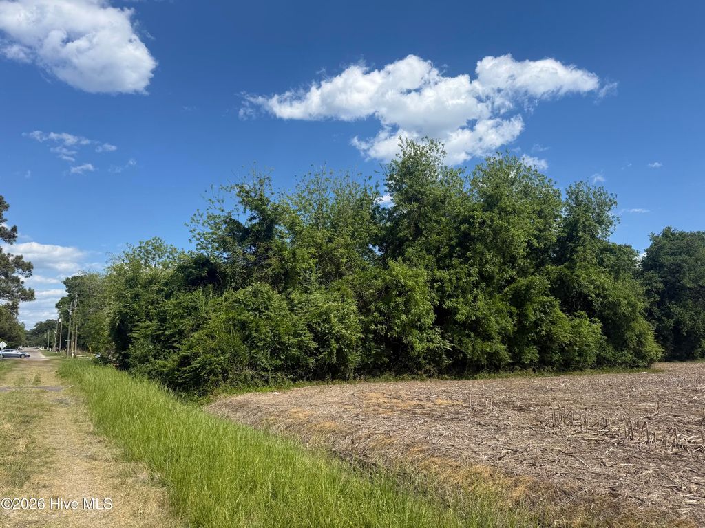 Photo of 4 W Hayes Street, Burgaw, NC (MLS # 100572900)