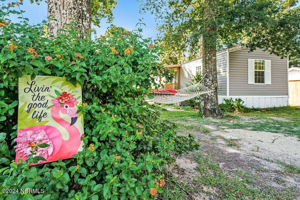 Photo of 1351 Carlisle Street SW, Supply, NC 28462 (MLS # 100566126)