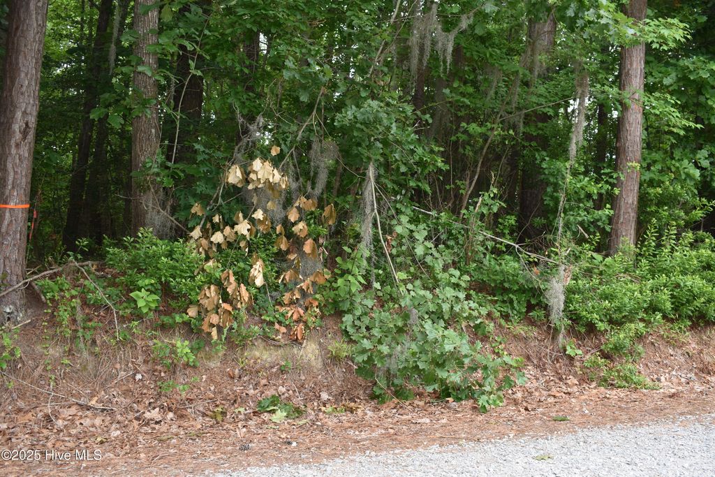 Photo of 23 River Road, Blounts Creek, NC 27814 (MLS # 100512255)
