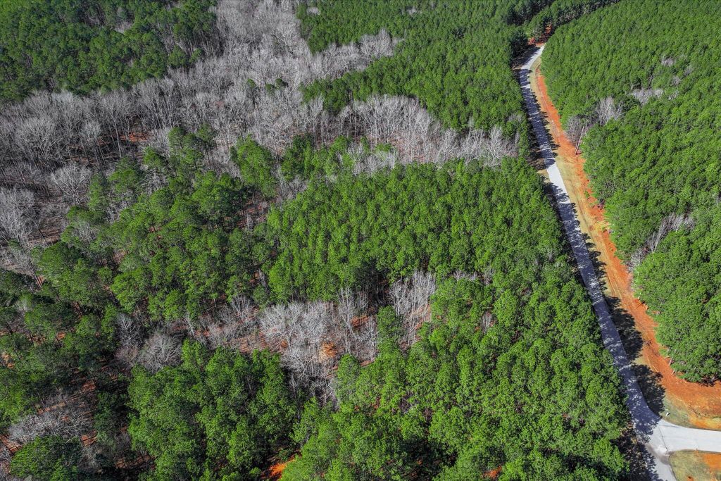 Photo of 1148 Hardwood Drive, Tignall, GA 30668 (MLS # 552274)