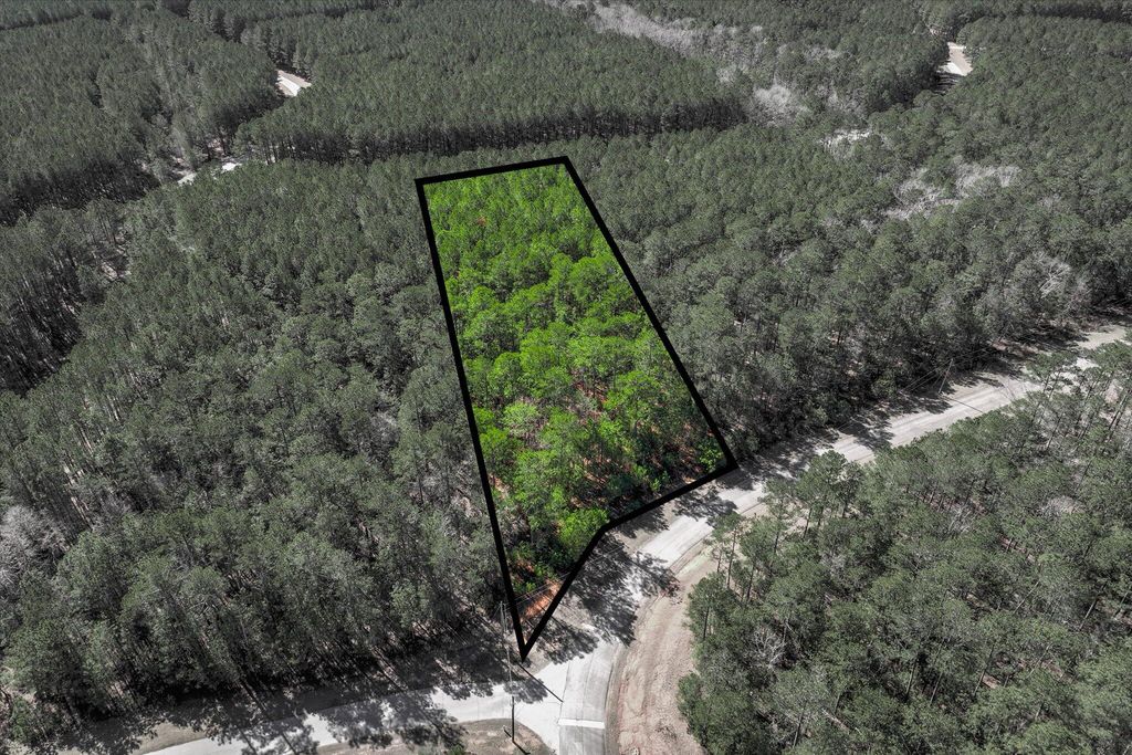 Photo of 1148 Hardwood Drive, Tignall, GA 30668 (MLS # 552274)