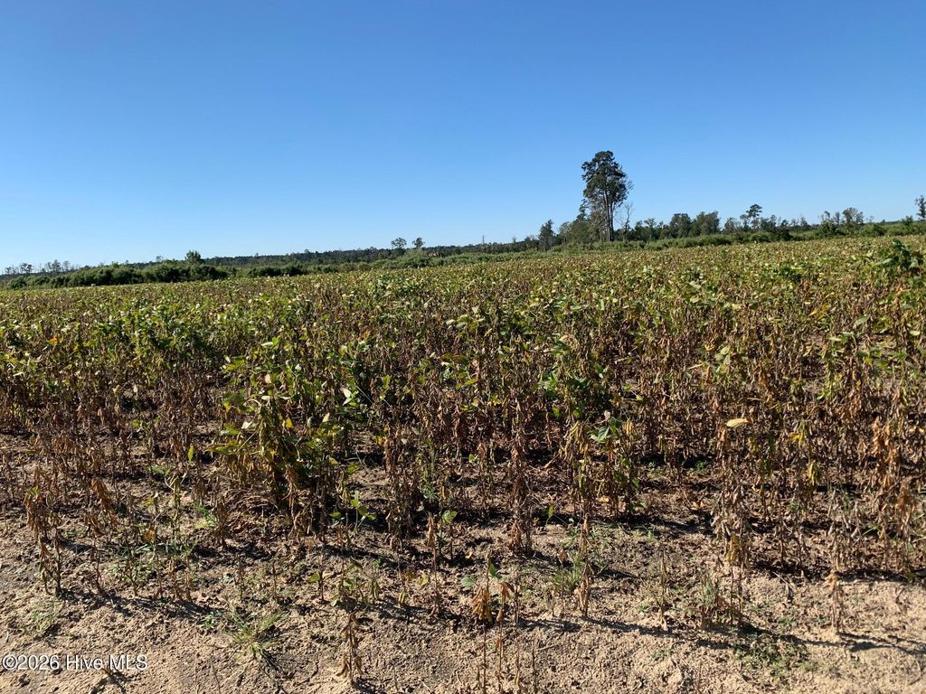 Photo of Tbd Hendrix Lane, Windsor, NC 27983 (MLS # 100550426)