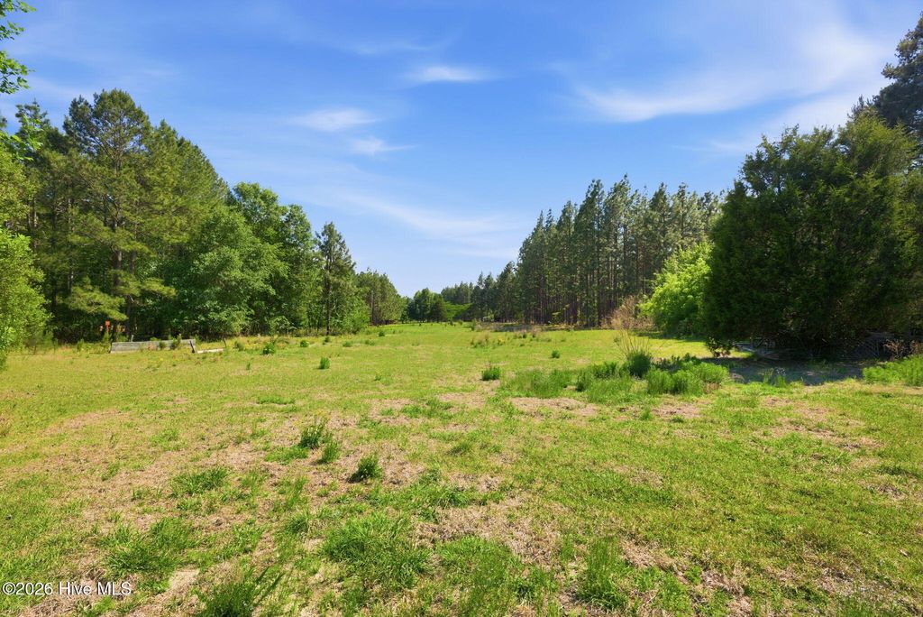 Photo of 478 Rattlesnake Trail, Aberdeen, NC 28315 (MLS # 100574598)