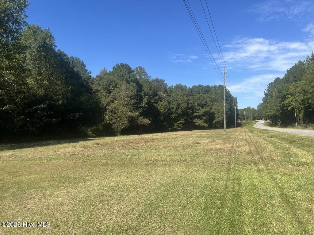 Photo of 00 Winters Road, Bailey, NC 27807 (MLS # 100610562)