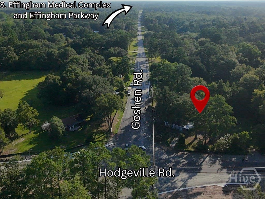 Photo of 1623 Hodgeville Road, Rincon, GA 31326 (MLS # SA362437)