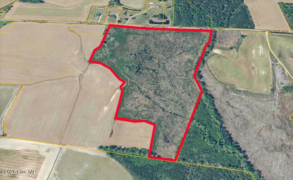 TRACT 4 BETHLEHEM CHURCH ROAD, TARBORO, NC 27886 - Image cd0493ca4be3178dd00e151d716701d2/2927755405