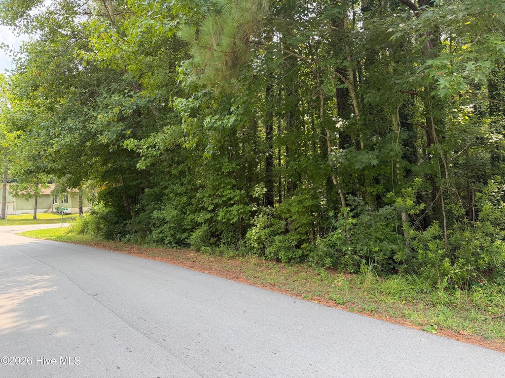 Photo of 919 Mandarin Trail, Jacksonville, NC 28540 (MLS # 100590906)