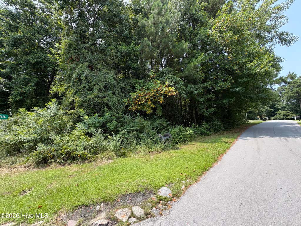 Photo of 919 Mandarin Trail, Jacksonville, NC 28540 (MLS # 100590906)
