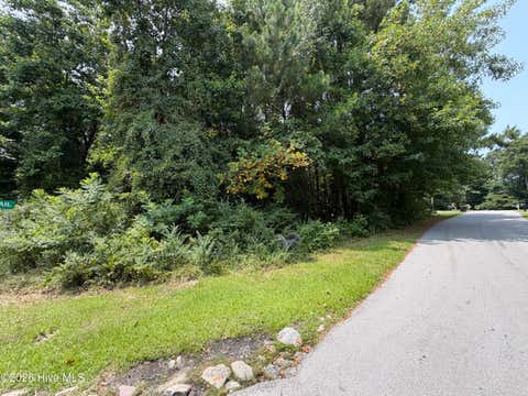 Tiny photo for 919 Mandarin Trail, Jacksonville, NC 28540 (MLS # 100590906)
