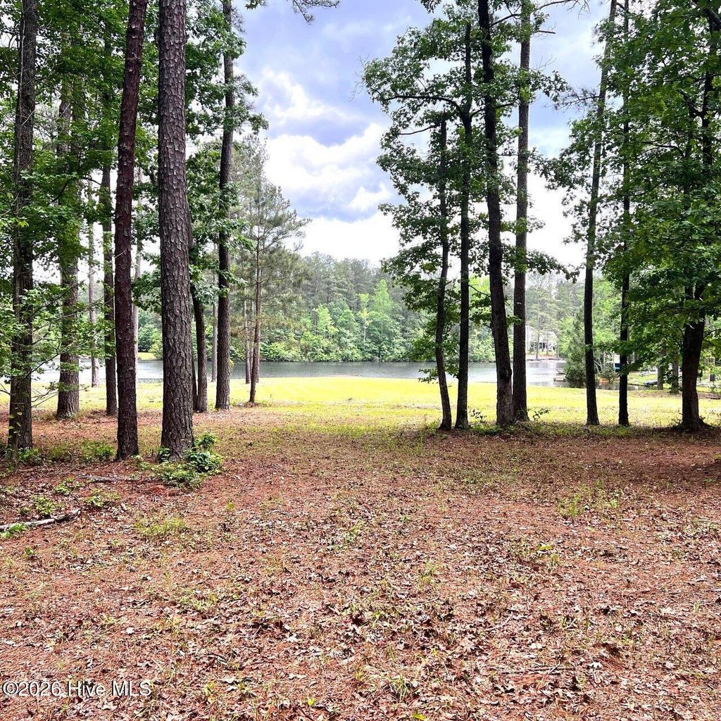 Photo of 305 Lakewood Drive, Aberdeen, NC 28315 (MLS # 100550135)