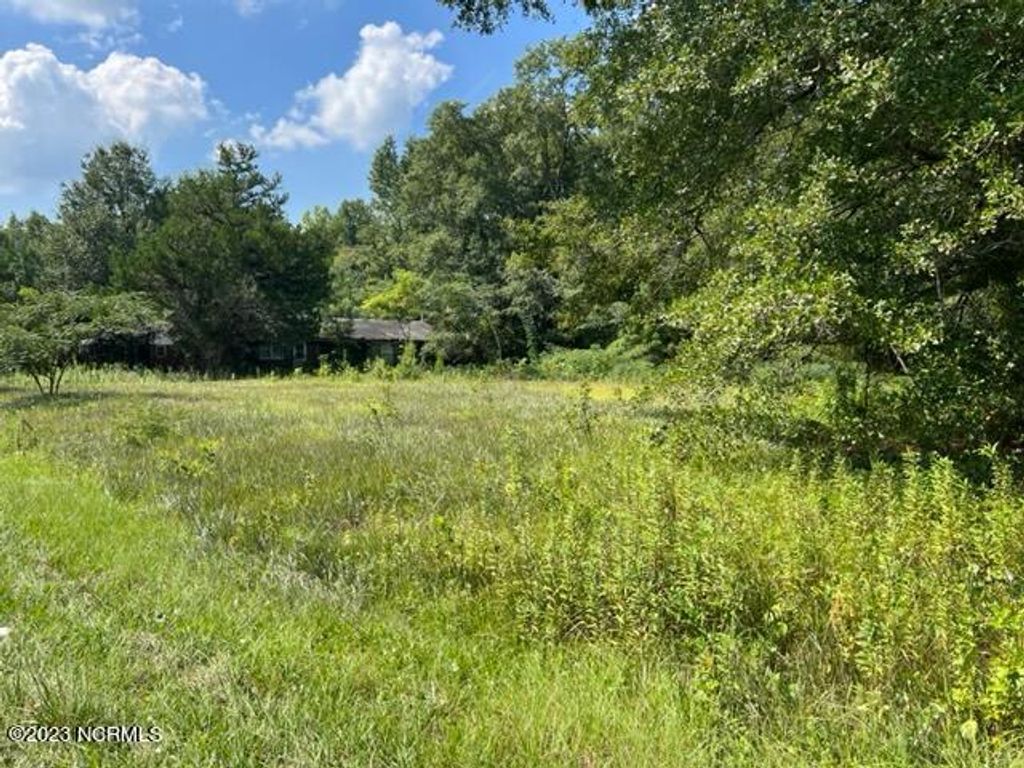 Photo of 108 Sandridge Road, Hubert, NC 28539 (MLS # 100403546)