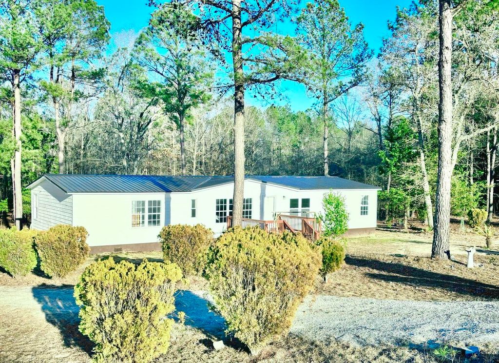 Photo of 5861 Luckeys Bridge Road, Dearing, GA 30808 (MLS # 552230)