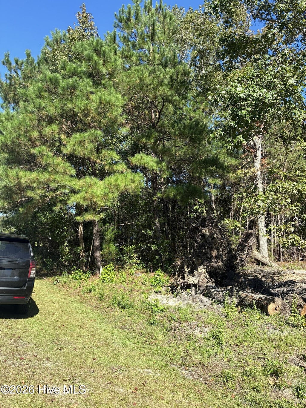 Photo of 1275 Skipper Run Drive SW, Supply, NC 28462 (MLS # 100608873)