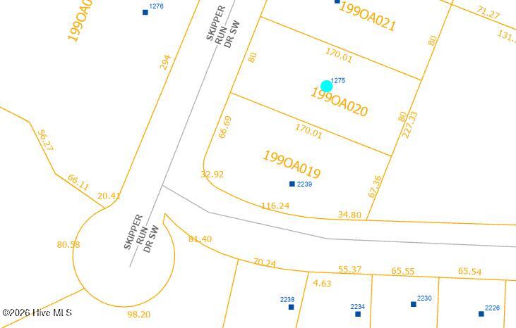 Photo of 1275 Skipper Run Drive SW, Supply, NC 28462 (MLS # 100608873)