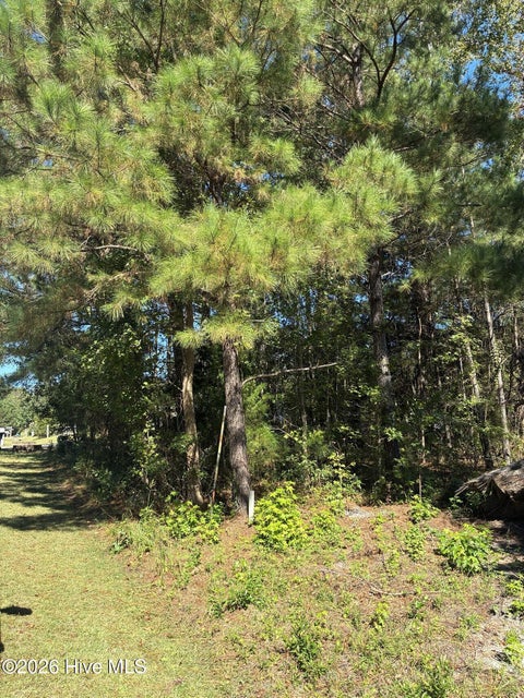 Vacant Land For Sale - 1275 Skipper Run Drive<br/> Supply, NC 28462