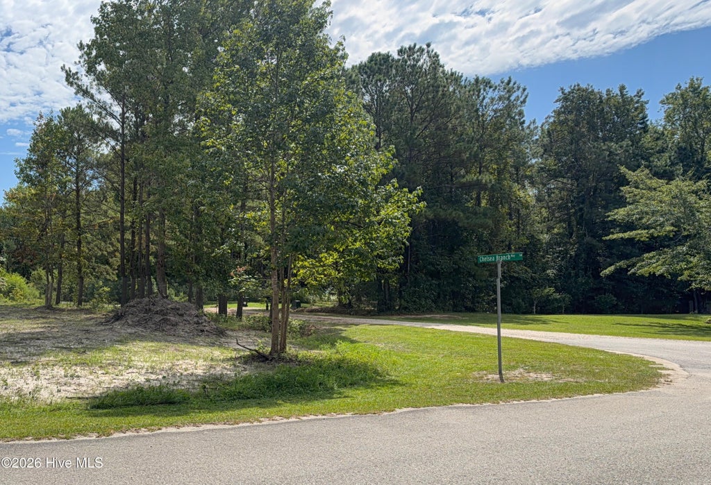Photo of 1275 Skipper Run Drive SW, Supply, NC 28462 (MLS # 100608873)