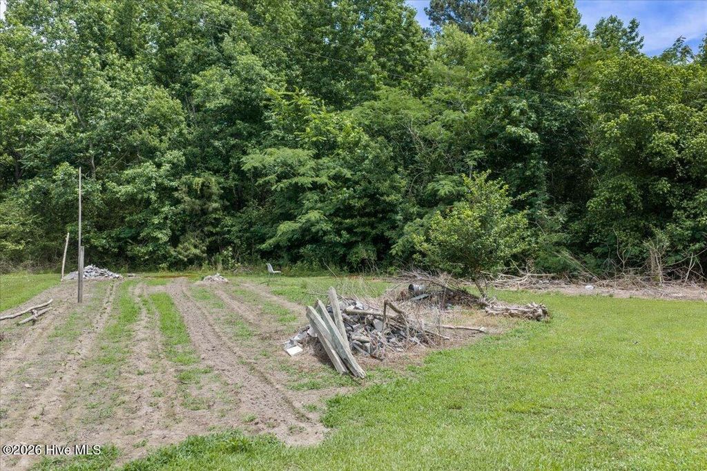 Photo of 121 Sally Freeman Road, Colerain, NC 27924 (MLS # 100578652)