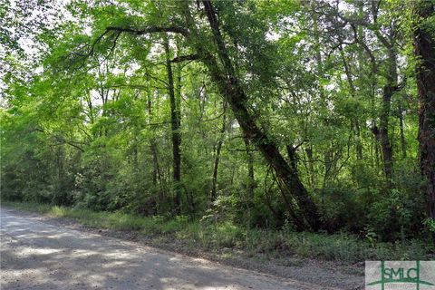 Vacant Land For Sale - 168 Middle Landing Road<br/> Bloomingdale, GA 31302