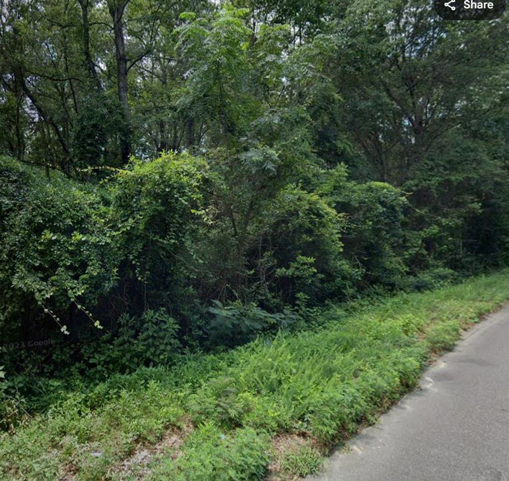 Photo of 19 Bradleyville Road Lane, North Augusta, SC 29841 (MLS # 553755)