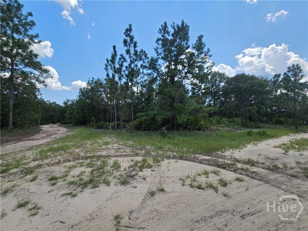 Photo of 2 Jones Road, Glennville, GA 30427 (MLS # SA346766)