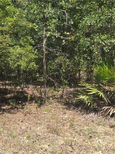Vacant Land For Sale - 2 ACRES Jones Road<br/> Long County, Glennville, GA 30427