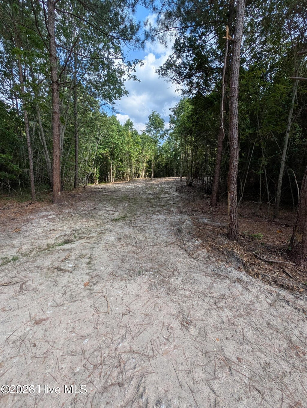 Photo of 24 Peyton Drive, Eagle Springs, NC 27242 (MLS # 100591269)