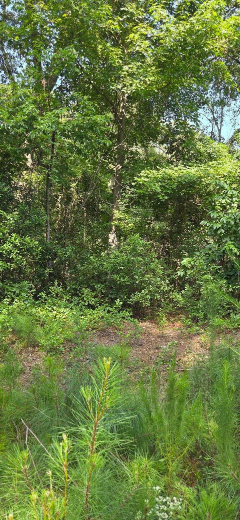 Vacant Land For Sale - Cherokee Drive<br/> Aiken County, North Augusta, SC 29841