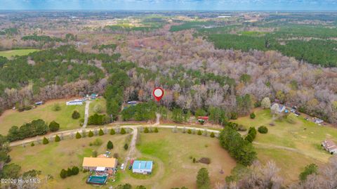 Tiny photo for 259 Heathers Folly Road, Willard, NC 28478 (MLS # 100561139)