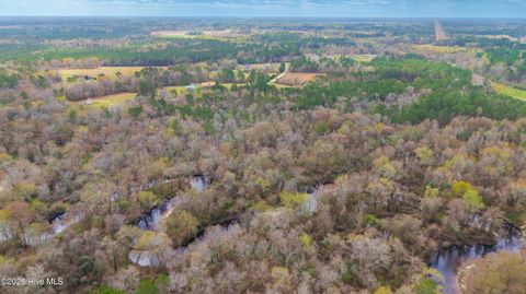 Tiny photo for 259 Heathers Folly Road, Willard, NC 28478 (MLS # 100561139)