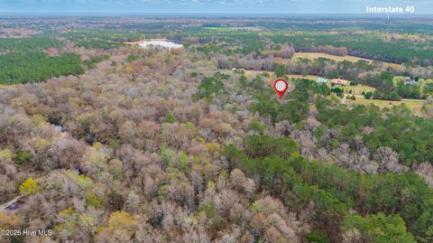 Tiny photo for 259 Heathers Folly Road, Willard, NC 28478 (MLS # 100561139)