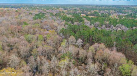 Tiny photo for 259 Heathers Folly Road, Willard, NC 28478 (MLS # 100561139)