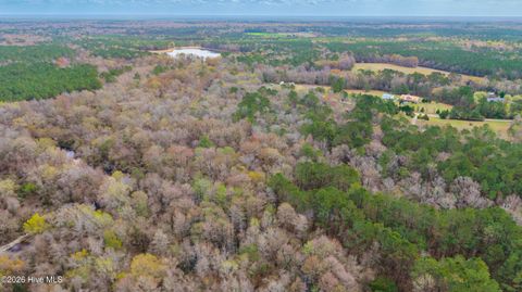 Tiny photo for 259 Heathers Folly Road, Willard, NC 28478 (MLS # 100561139)