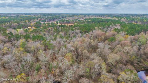 Tiny photo for 259 Heathers Folly Road, Willard, NC 28478 (MLS # 100561139)